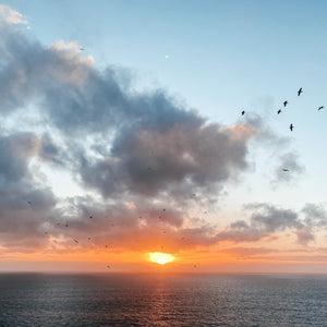 Sunset over the pacific ocean looking out into the horizon finding joy in times of covid 