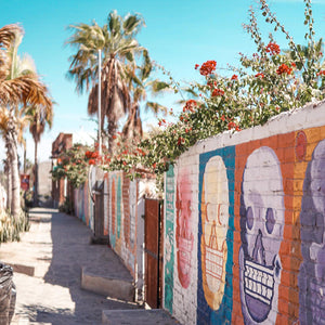 What brought you to Todos Santos?